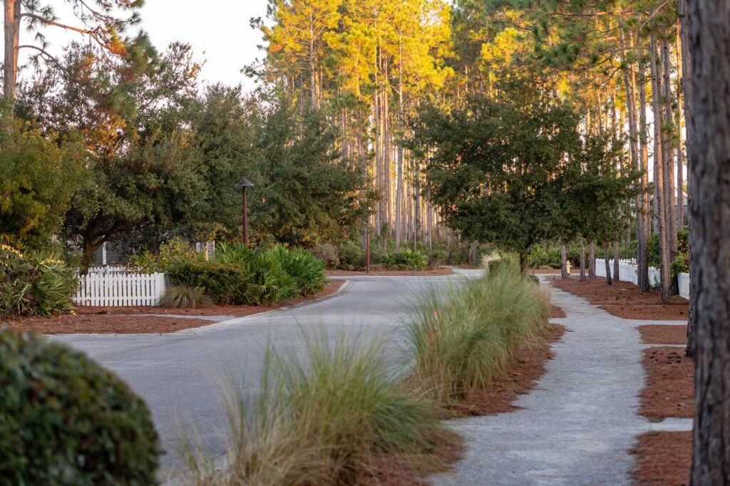 Coastal dune lake boardwalk near Watersound